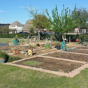 Meet your Posher, Dee